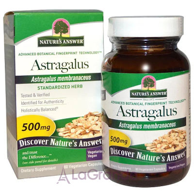 Nature's Answer Astragalus 500 mg ĳ  