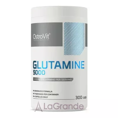 OstroVit Glutamine 5000 mg      