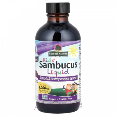 Nature's Answer Sambucus Kid's Formula 4000 mg    