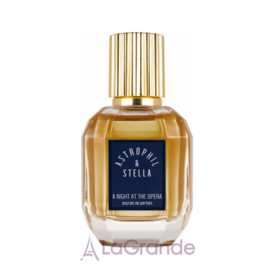 Astrophil & Stella A Night at the Opera  ()