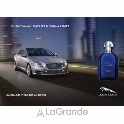 Jaguar For Men Evolution   ()