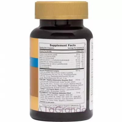 NaturesPlus AgeLoss Brain Support    