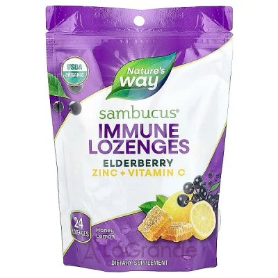 Nature's Way Sambucus Elderberry Zinc + Vitamin C   