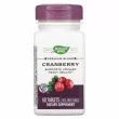 Nature's Way Cranberry Premium Blend   