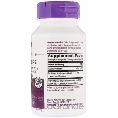 Nature's Way Cordyceps   