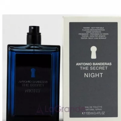 Antonio Banderas The Secret Night   (  )