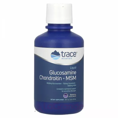 Trace Minerals Research Glucosamine Chondroitin MSM Liquid   