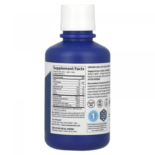 Trace Minerals Research Glucosamine Chondroitin MSM Liquid ĳ������ ������� 