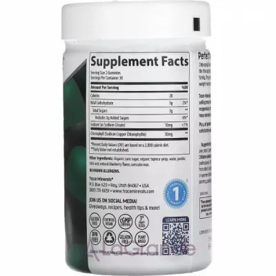 Trace Minerals Research Chlorophyll Gummies ĳ  