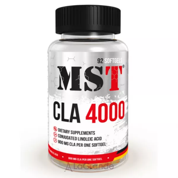 MST CLA 4000 ������������ ���'������� ������� �������