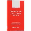 Farmstay Derma Cube Acne Calming Spot Patch    