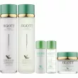 Jigott Well Being Green Tea Skin Care 3 SET          (toner150ml + emulsion150ml + face cream50ml + toner30ml + emulsion30ml)