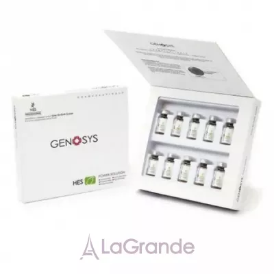 Genosys HES Power Solution     