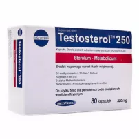 Megabol Testosterol 250 ������ ������������ 250 ��