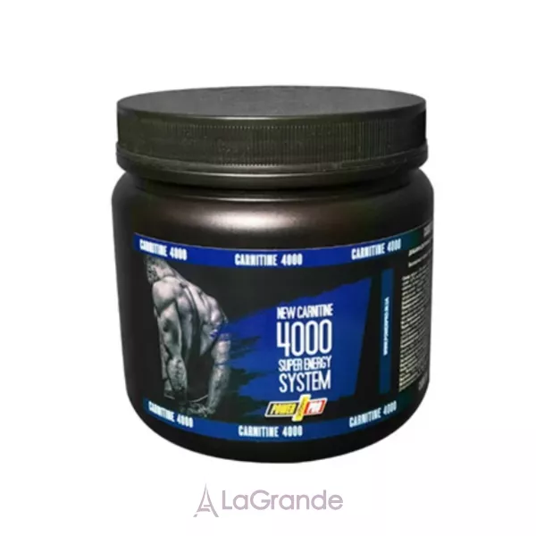 Power Pro Carnitine 4000 Super Energy System ���������������� �������� 