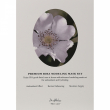 Dr. Althea Premium Rosa Modeling Mask 25g