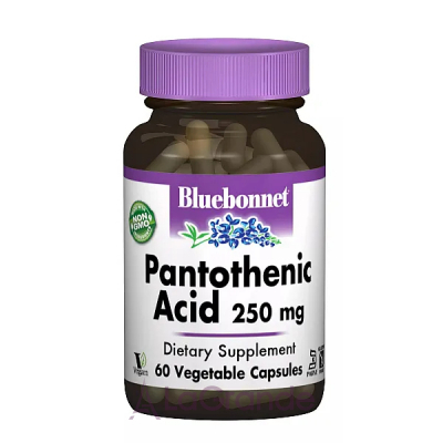 Bluebonnet Nutrition Pantothenic Acid 250 mg ĳ  