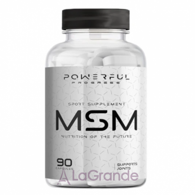 Powerful Progress MSM �������� ��� ������� �� ��'���� ������������������� 1000 ��