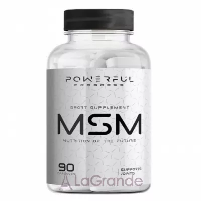 Powerful Progress MSM �������� ��� ������� �� ��'���� ������������������� 1000 ��