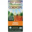 Fungi Perfecti Host Defense Mushrooms Cordyceps Energy Support ĳ     
