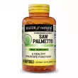 Mason Natural Saw Palmetto ĳ    '  