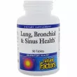 Natural Factors Lung, Bronchial & Sinus Health      