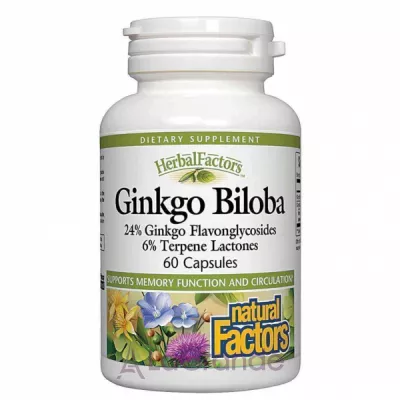 Natural Factors Ginkgo Biloba   