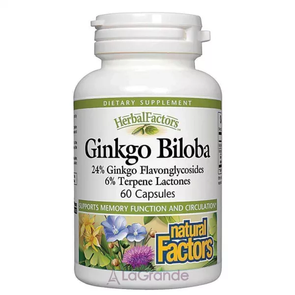 Natural Factors Ginkgo Biloba ĳ������ ������� 