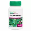 NaturesPlus Herbal Actives Ashwagandha 450 mg ĳ  