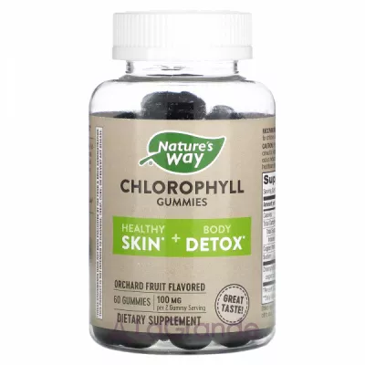 Nature's Way Chlorophyll Gummies   