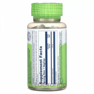 Solaray Fennel 450 mg   