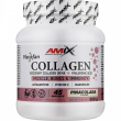 Amix Viscofan Collagen Drink + Hyaluronic Acid Pinacolada 300g