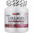 Amix Viscofan Collagen Drink + Hyaluronic Acid Forest Fruit 300g