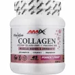 Amix Viscofan Collagen Drink + Hyaluronic Acid Forest Fruit  