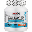 Amix Peptan Marine Collagen Drink + Hyaluronic Acid Tropical 300g