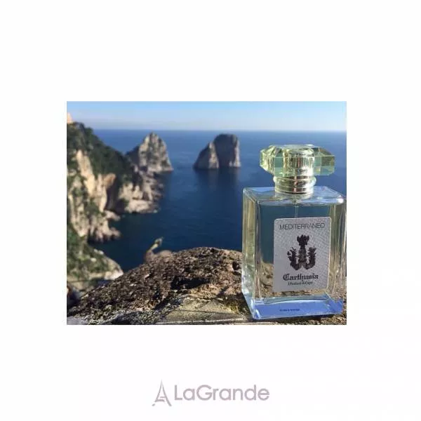 Carthusia Mediterraneo �������� ����