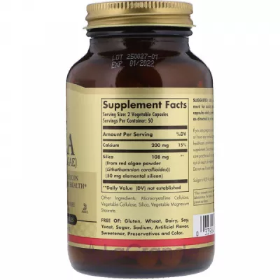 Solgar Oceanic Silica ĳ  