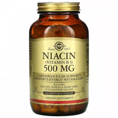 Solgar Niacin (Vitamin B3) 500 mg ĳ  
