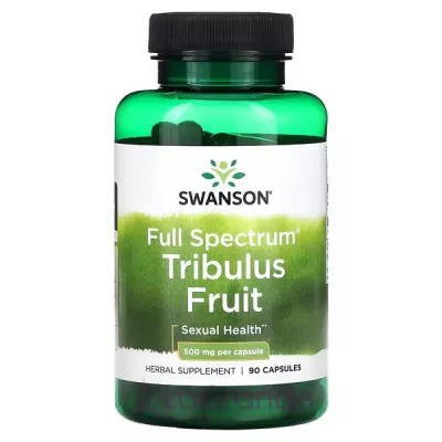 Swanson Full Spectrum Tribulus Fruit 500 mg ĳ  
