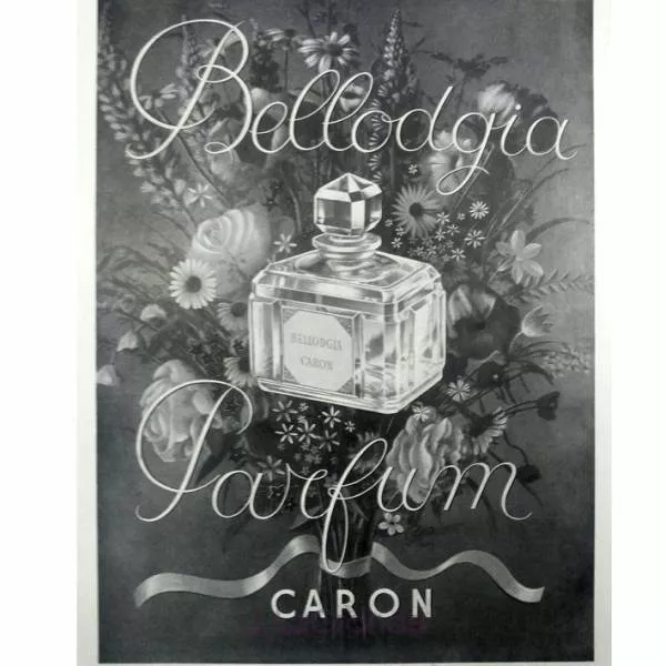 Caron Bellodgia ��������������� ����