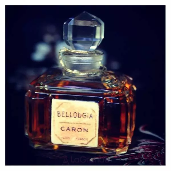 Caron Bellodgia ����