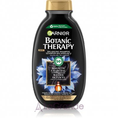 Garnier Botanic Therapy Balancing Shampoo        볺  