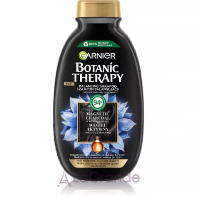Garnier Botanic Therapy Balancing Shampoo        볺  