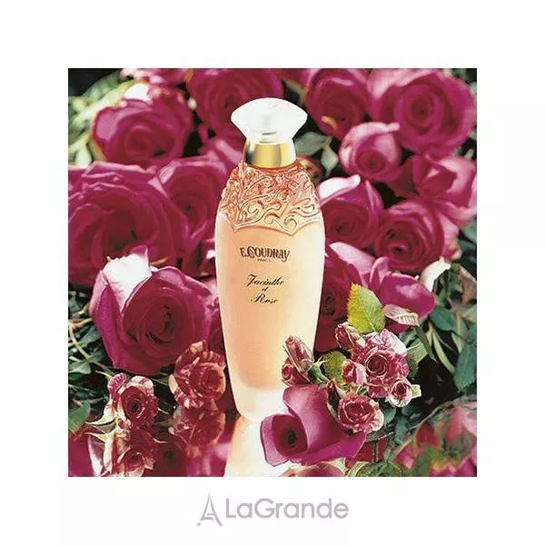 E. Coudray Jacinthe Et Rose ��������� ���� (������)