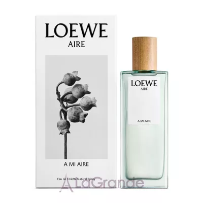 Loewe A Mi Aire  