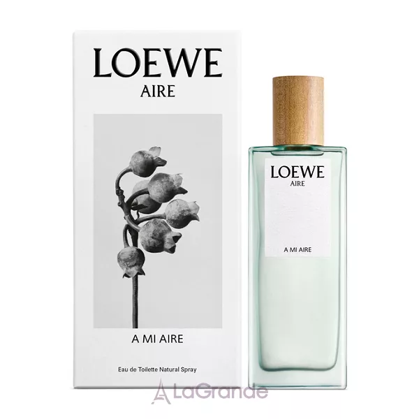 Loewe A Mi Aire �������� ����