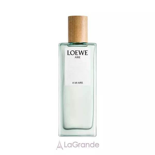 Loewe A Mi Aire �������� ����