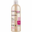 Fortesse Professional Repair&Protect Shampoo 400ml