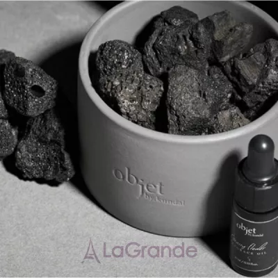 Kundal Objet Volcanique Stone Diffuser Grassy Flower       