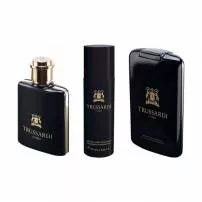 Trussardi Uomo Trussardi 2011 ���� (�������� ���� 100 �� + ���������� 100 �� + �������/���� ��� ���� 200 ��)